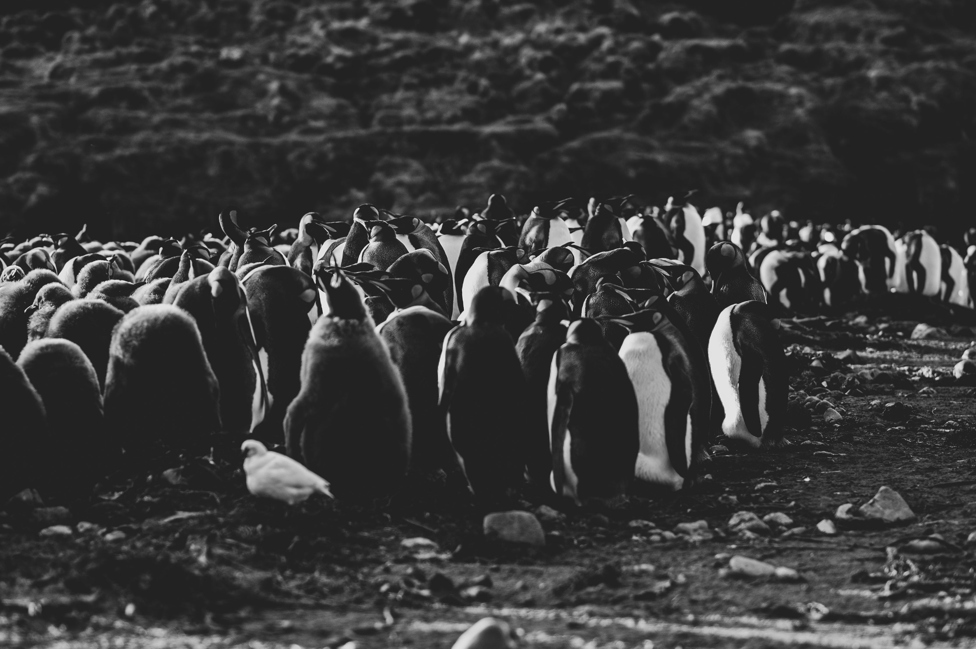 GYT 20220701 134055  DSC6238